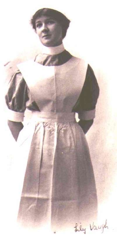 lily.jpg (23271 bytes)